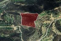 23746 SQM Land in Agios Theodoros Larnacas (Larnaca) for sale 