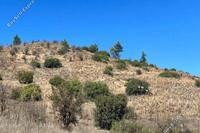 1673 SQM Land · Mitsero (Nicosia) for sale 