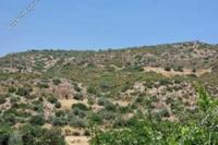 24081 SQM Land in Agios Theodoros Larnacas (Larnaca) for sale 