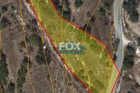 2105 SQM Land in Kritou Tera (Paphos) for sale 