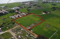 8518 SQM Plot · Agia Thekla (Famagusta) for sale 