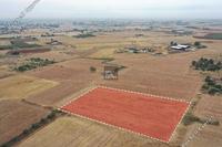 11814 SQM Land · Avgorou (Famagusta) for sale 