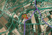1979 SQM Land in Peyia (Paphos) for sale 