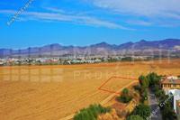 5017 SQM Plot in Kaimakli (Nicosia) for sale 