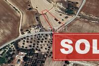 2676 SQM Land · Pyla (Larnaca) for sale 