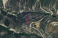 3679 SQM Land in Lofou (Limassol) for sale 