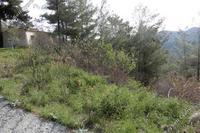 3225 SQM Land · Amiantos (Limassol) for sale 