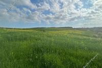14382 SQM Land · Geri (Nicosia) for sale 
