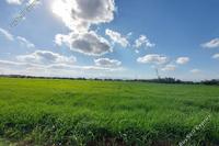 4014 SQM Land · Malounta (Nicosia) for sale 