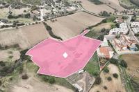 13044 SQM Land in Mazotos (Larnaca) for sale 