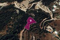 3011 SQM Land in Neo Chorio (Paphos) for sale 