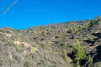 21740 SQM Land in Kalo Chorio Lemesou (Limassol) for sale 