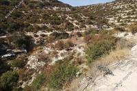 6356 SQM Land · Koilani (Limassol) for sale 