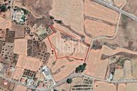 13889 SQM Plot in Agios Ioannis Nicosias (Nicosia) for sale 