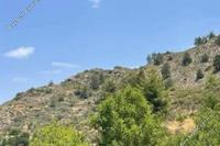 1375 SQM Land in Platanistasa (Nicosia) for sale 