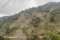 13455 SQM Land in Moutoullas (Nicosia) for sale 