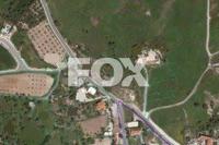2676 SQM Land in Lasa (Paphos) for sale 