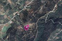 12041 SQM Land · Tsakistra (Nicosia) for sale 