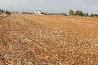 13379 SQM Land in Pera Orinis (Nicosia) for sale 