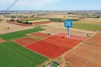 12325 SQM Land · Avgorou (Famagusta) for sale 