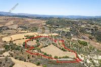 29098 SQM Land in Drynia (Paphos) for sale 