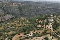 54714 SQM Land · Souni Zanakia (Limassol) for sale 