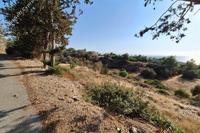 3226 SQM Land · Nea Dimmata (Paphos) for sale 
