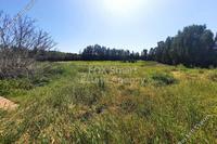 5000 SQM Plot · Geri (Nicosia) for sale 
