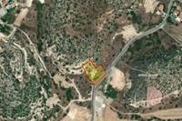 3984 SQM Land in Pyrgos Limassol (Limassol) for sale 