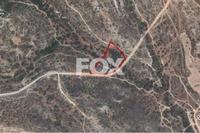 9768 SQM Land in Pissouri (Limassol) for sale 