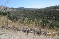 6021 SQM Land in Mousere (Paphos) for sale 