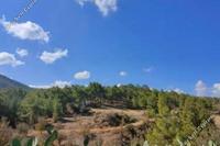 4348 SQM Land · Nikitari (Nicosia) for sale 