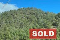 11102 SQM Land in Palaichori Oreinis (Nicosia) for sale 