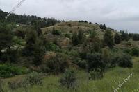 7358 SQM Land · Kapedes (Nicosia) for sale 