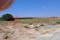 9365 SQM Land · Pyla (Larnaca) for sale 