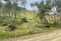 8362 SQM Land in Pano Pyrgos (Nicosia) for sale 