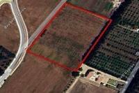 15000 SQM Land · Geroskipou (Paphos) for sale 