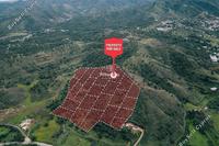 72924 SQM Land · Flasou (Nicosia) for sale 