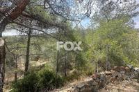 24415 SQM Land · Foinikaria (Limassol) for sale 