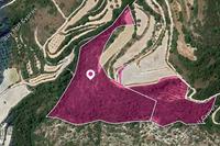 32657 SQM Land in Theletra (Paphos) for sale 