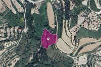 5686 SQM Land in Kallepeia (Paphos) for sale 