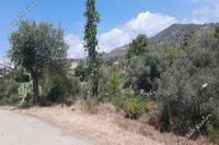 1673 SQM Land · Lageia (Larnaca) for sale 