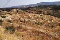 6522 SQM Land · Vouni (Limassol) for sale 