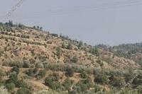 6355 SQM Land in Kampia (Nicosia) for sale 