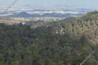 9031 SQM Land · Filani (Nicosia) for sale 