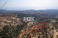 20068 SQM Land · Peyia (Paphos) for sale 