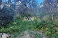 855 SQM Land in Tremithousa (Paphos) for sale 