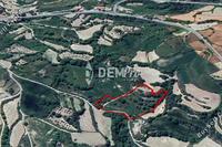 12040 SQM Land in Stroumbi (Paphos) for sale 