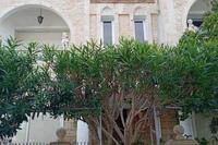 9 Bedroom Detached house in Zakaki (Limassol) for sale 