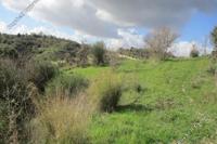 6689 SQM Land in Letymvou (Paphos) for sale 